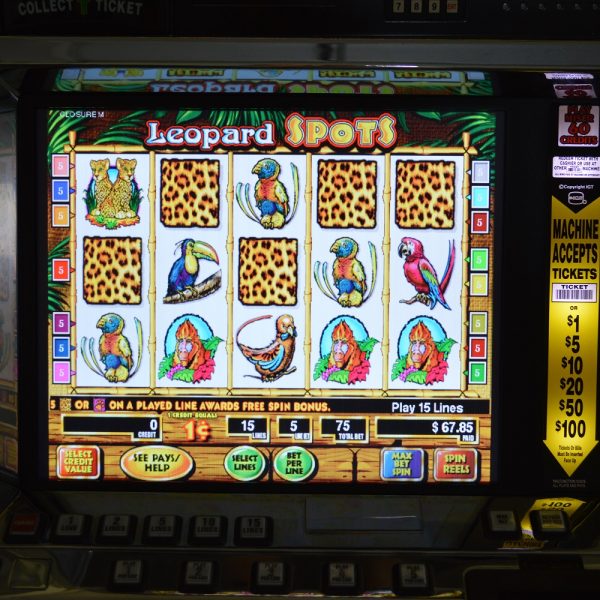 Best casino slots machine